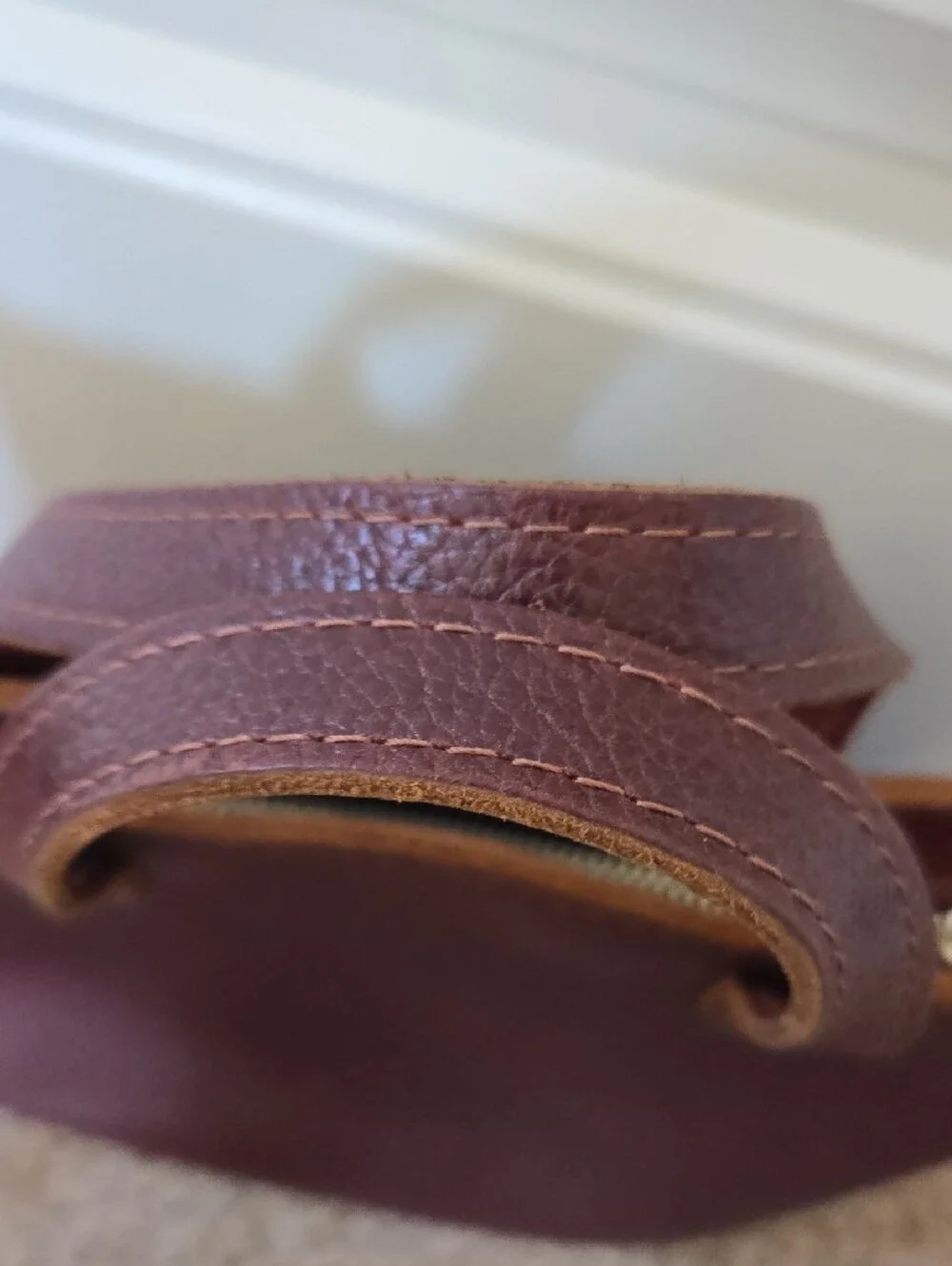 Portland Leather Mini Crossbody Zipper Tote - Picture 5 of 16